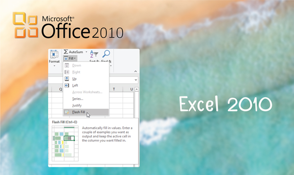 Excel 2010 - Office 2010 Home and Business
