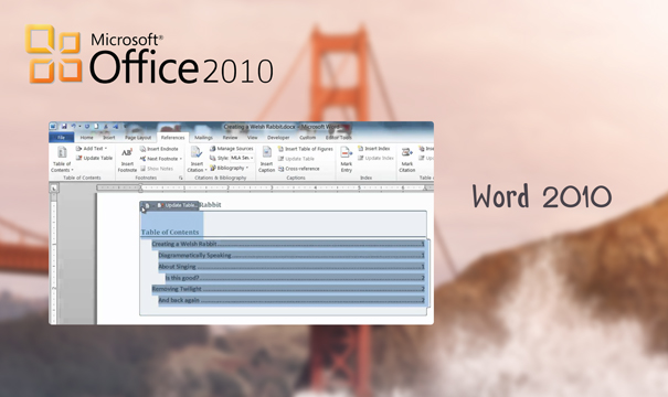 Word 2010 - Office 2010 Home and Business