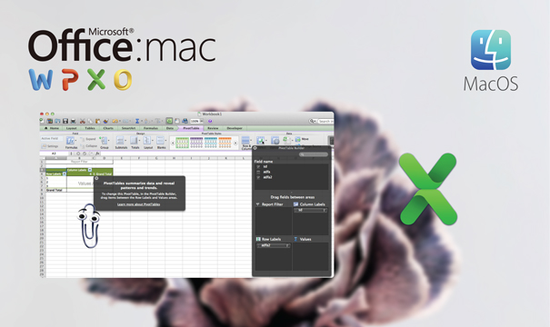 Microsoft Excel 2011 for MAC