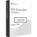 SQL Server 2012 Standard - 5 User Cals, Client Access Licenses: 5 CALs, image 