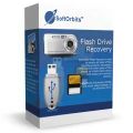 Flash Drive Recovery, image 