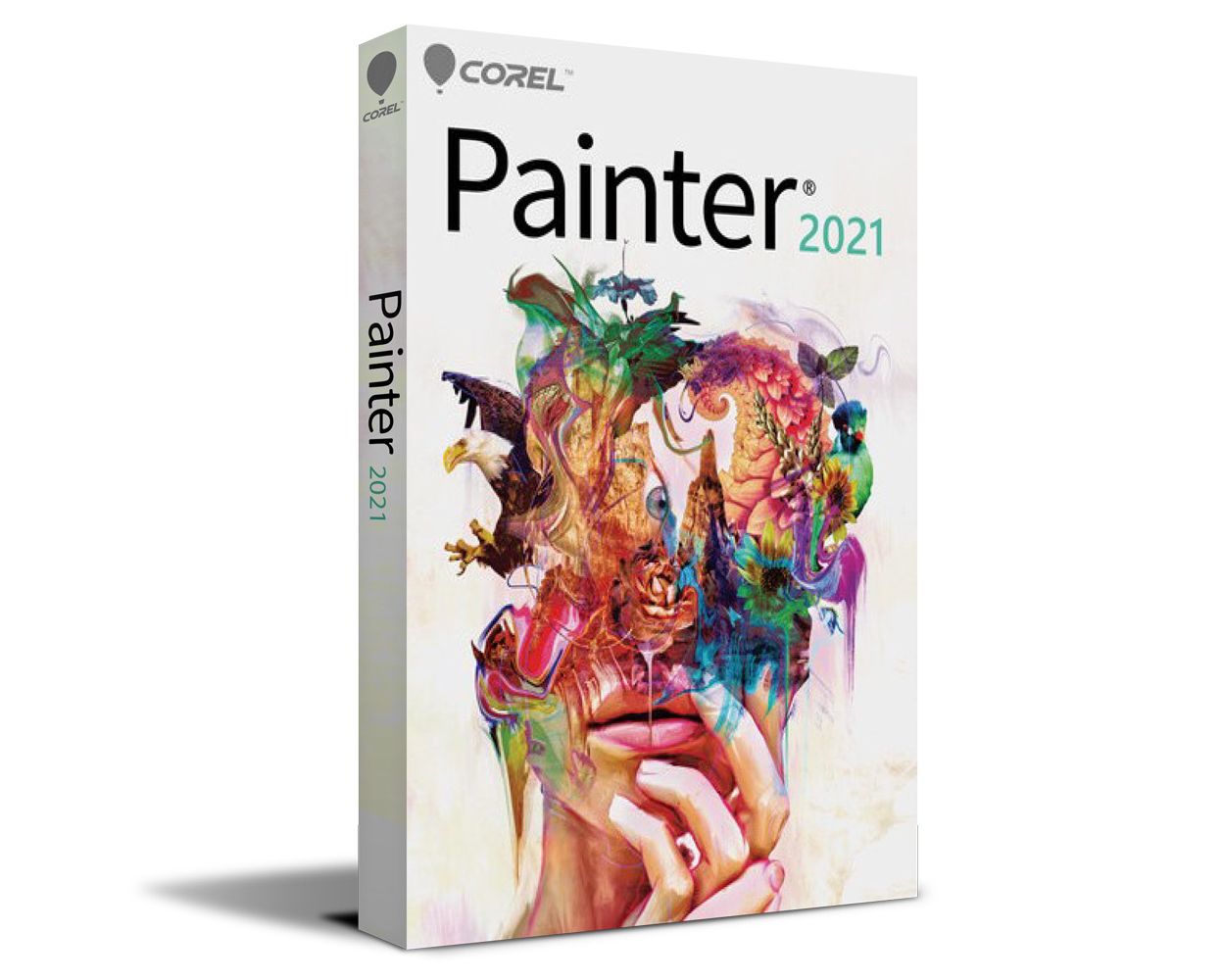 Corel painter. Corel Painter 2021. Corel Painter corel Painter. Corel Painter 2022. Corel Painter 2020.