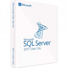 SQL Server 2017 Standard - User CALs, User Client Access Licenses: 1 CAL, image 