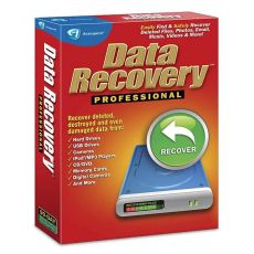 Data Recovery Professional, image 