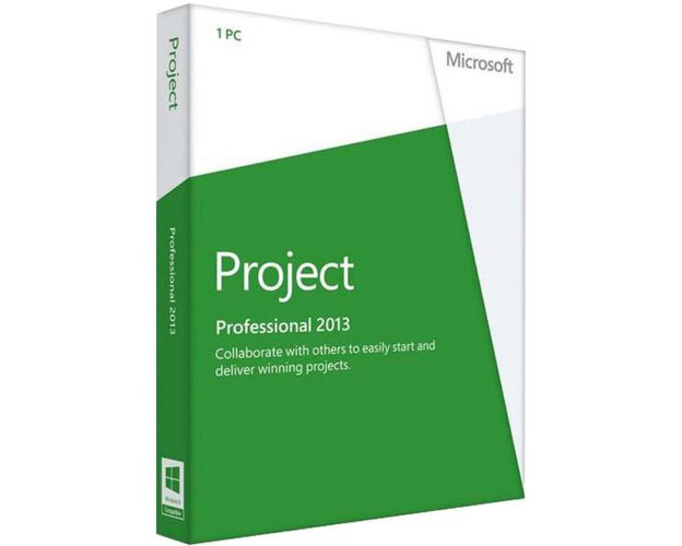 Project Professional 2013, image 