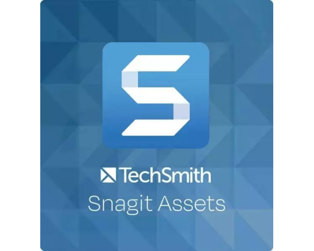 TechSmith Snagit Assets, Runtime : 1 year, Users: +25 Users, image 