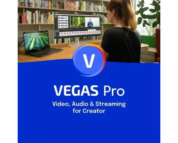 VEGAS Pro 20, image 