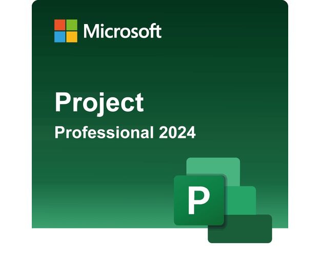 Microsoft Project Professional 2024, image 