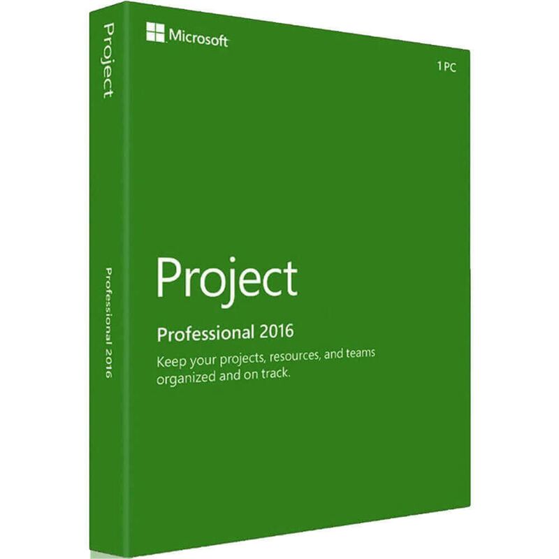Project Professional 2016, image 