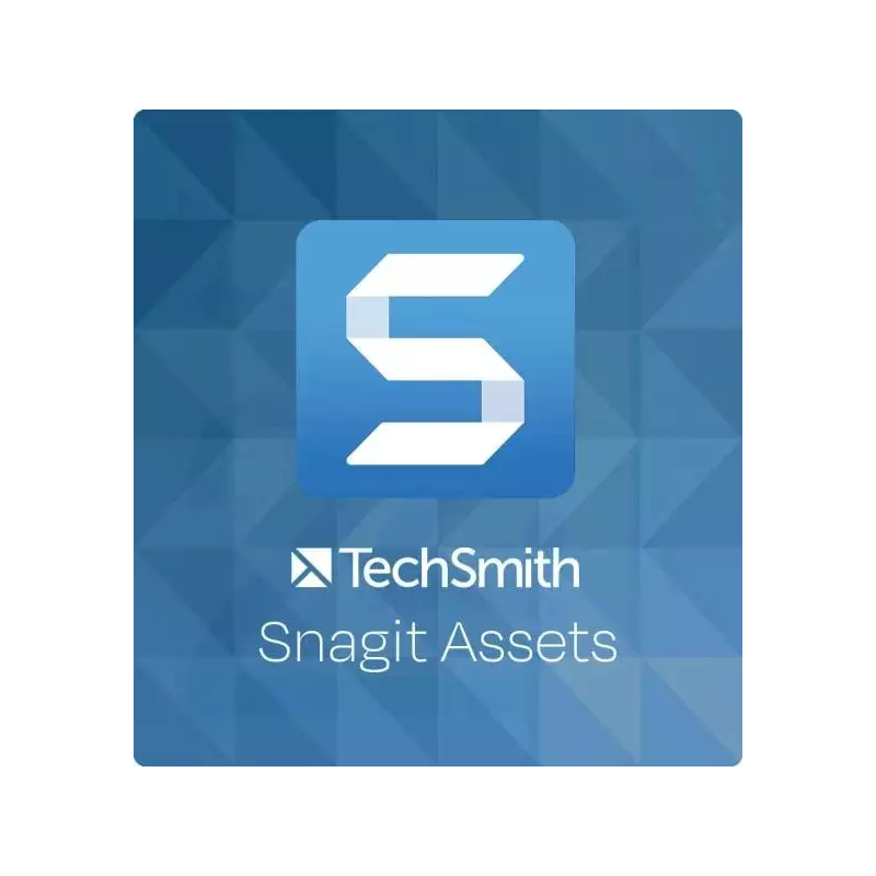 TechSmith Snagit Assets, Runtime : 1 year, Users: 1 User, image 