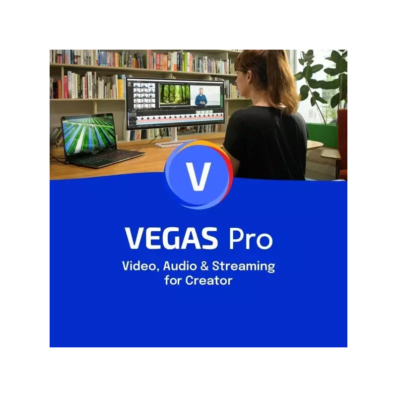 VEGAS Pro 20, image 