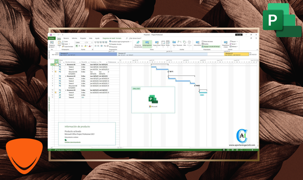 New Timesheets