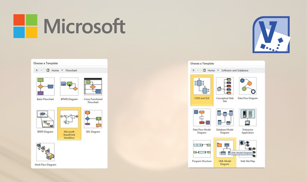 Install Visio Professional 2010
