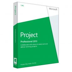 Project 2013 Professional, image 