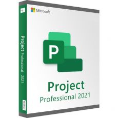 Project Professional 2021, image 