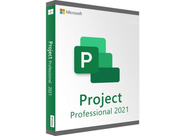 Project Professional 2021, image 