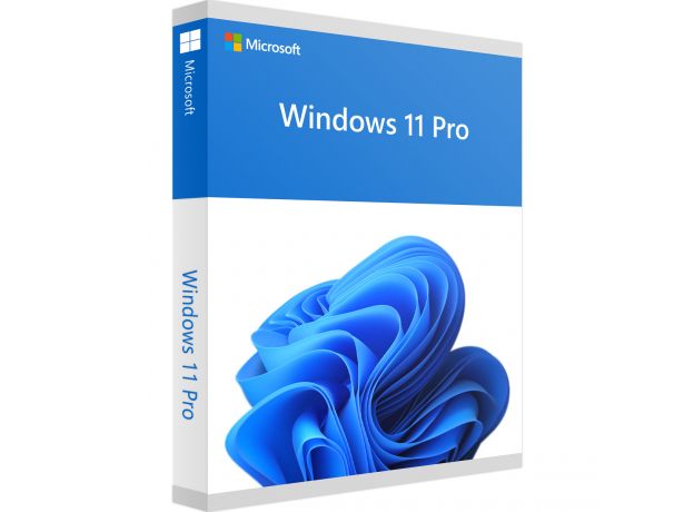 Windows 11 Pro, image 