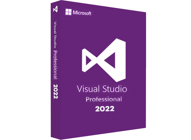Visual Studio 2022 Professional, image 