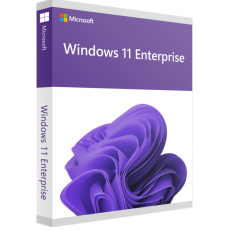 Windows 11 Enterprise, image 