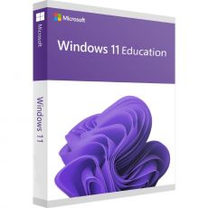 Windows 11 Pro N [CLONE] [CLONE], image 