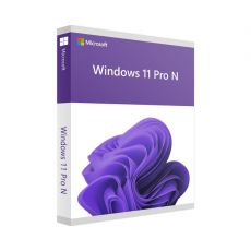 Windows 11 Pro N, image 
